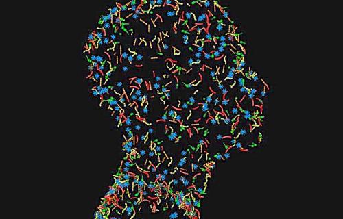 A silhouette of a human head, filled in with colorful illustrations of bacteria.