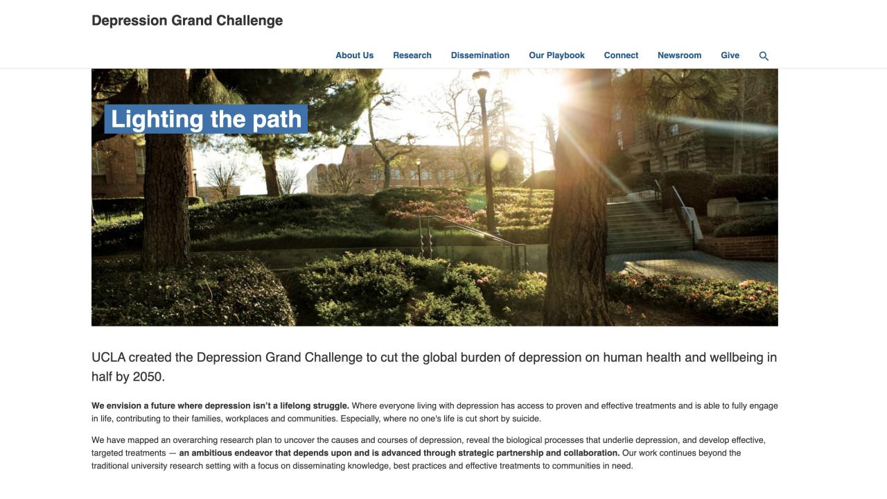 Screenshot of Depression Grand Challenge homepage
